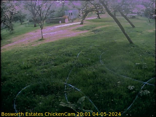 webcam picture,  21 May 8:31 