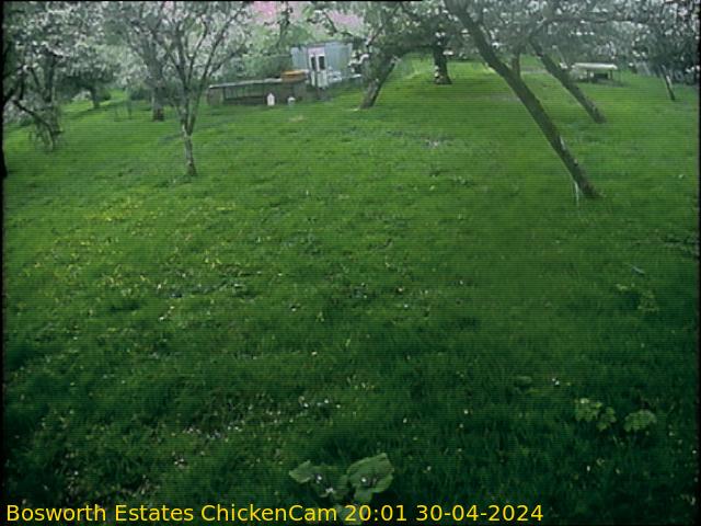 webcam picture,  7 Aug 19:11 