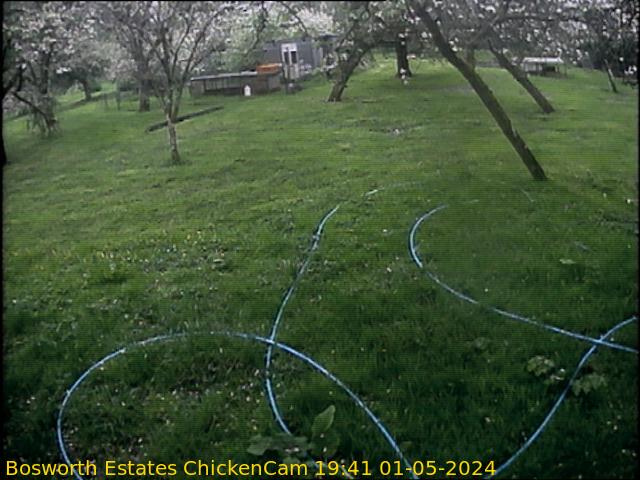 webcam picture,  28 Jan 15:51 