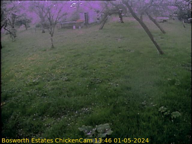 webcam picture,  21 May 8:51 