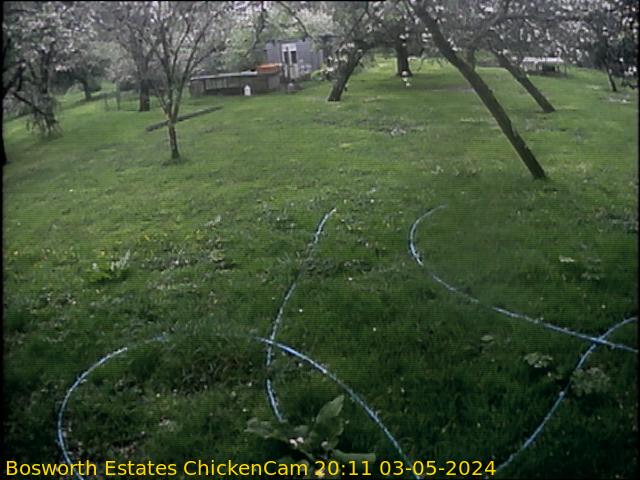 webcam picture,  7 Aug 18:31 