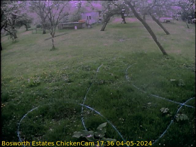 webcam picture,  7 Aug 18:41 